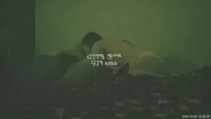 월세 대신 떡으로 월세받아가는 건물주.... 키스방건물주/질싸 서비스 해주는 키스방 혜진이  국산야동 한국야동