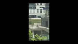 때와 장소를 가리지 않는 발정광모음  국산야동 한국야동